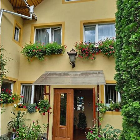 B&B Dumbrava Ґурагумора Екстер'єр фото